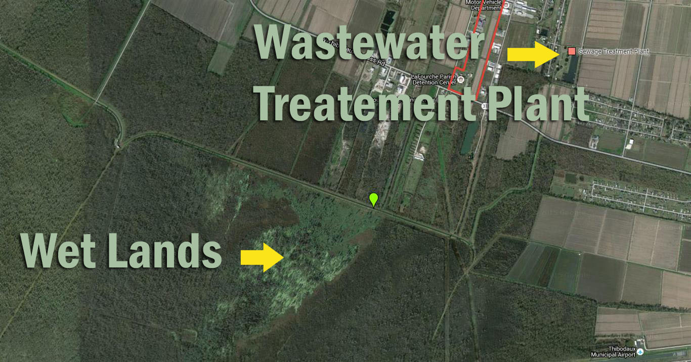 Wetlands and Waste Plant
